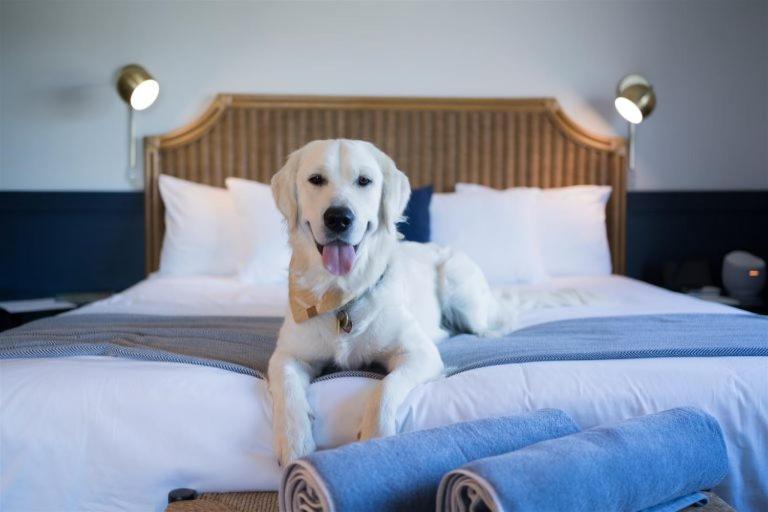 Wylder - Island Hotel 4*